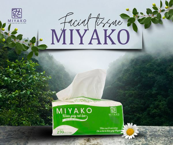 Khăn giấy rút lụa Miyako Facial Tissues - Khăn giấy MIYAKO - Công Ty TNHH Thương Mại Dịch Vụ Và Sản Xuất MIYAKO